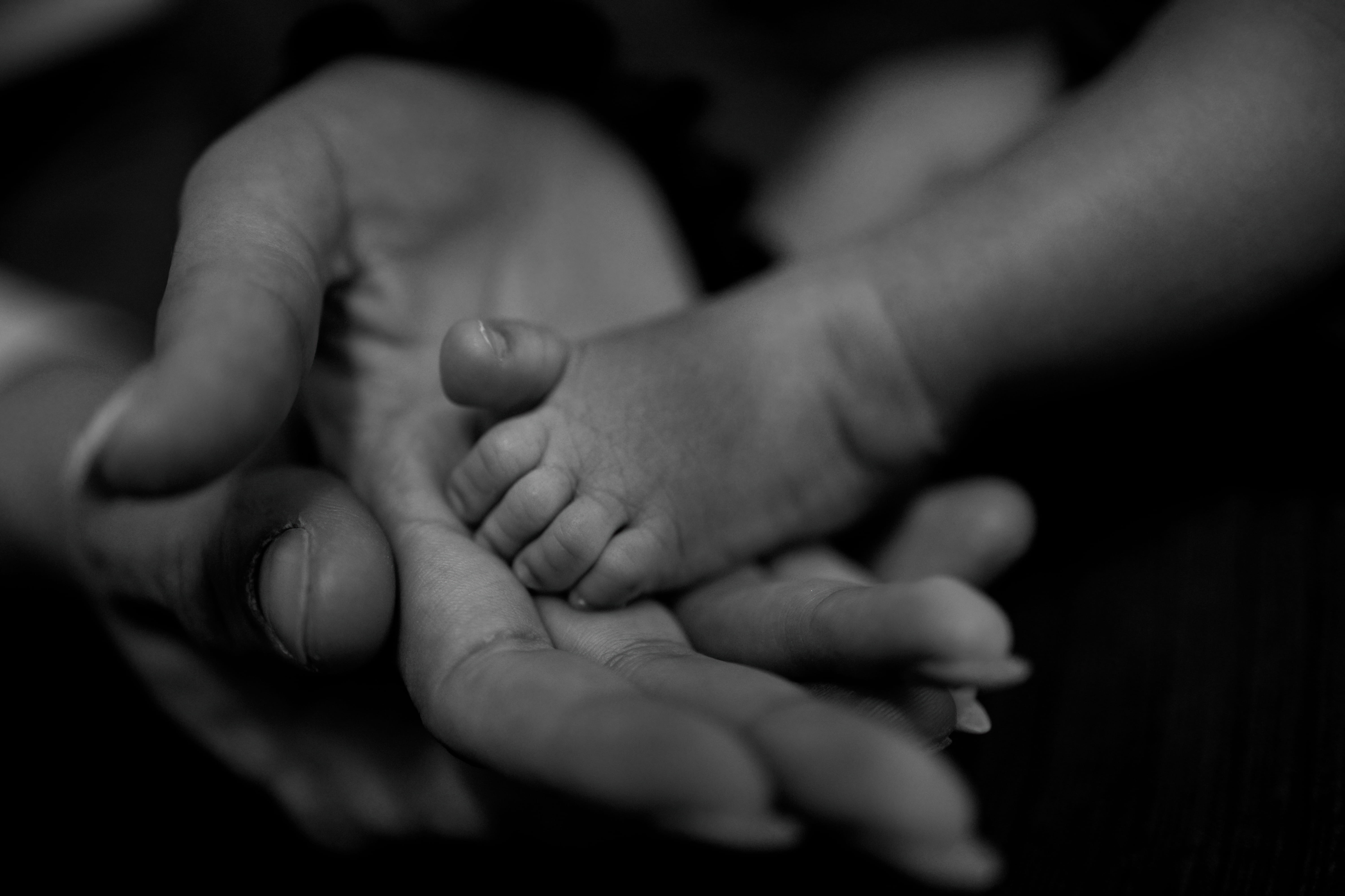 close up of baby's toes being held by mom and dad in black and white