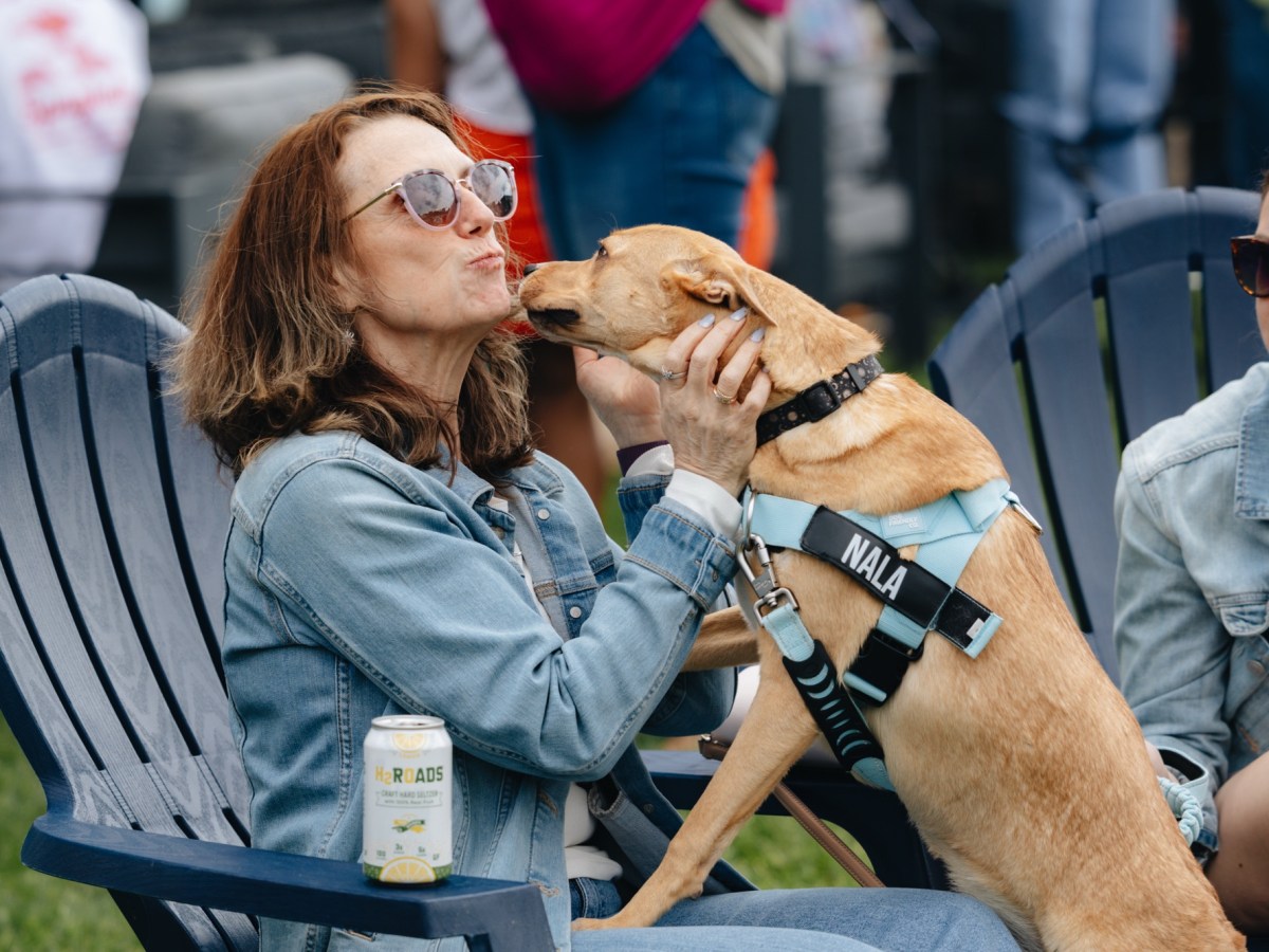 Photo Journal: Two Roads Brewery’s Paws & Pints in Stratford, Dogs, Drinks, and Candid&nbsp;Moments